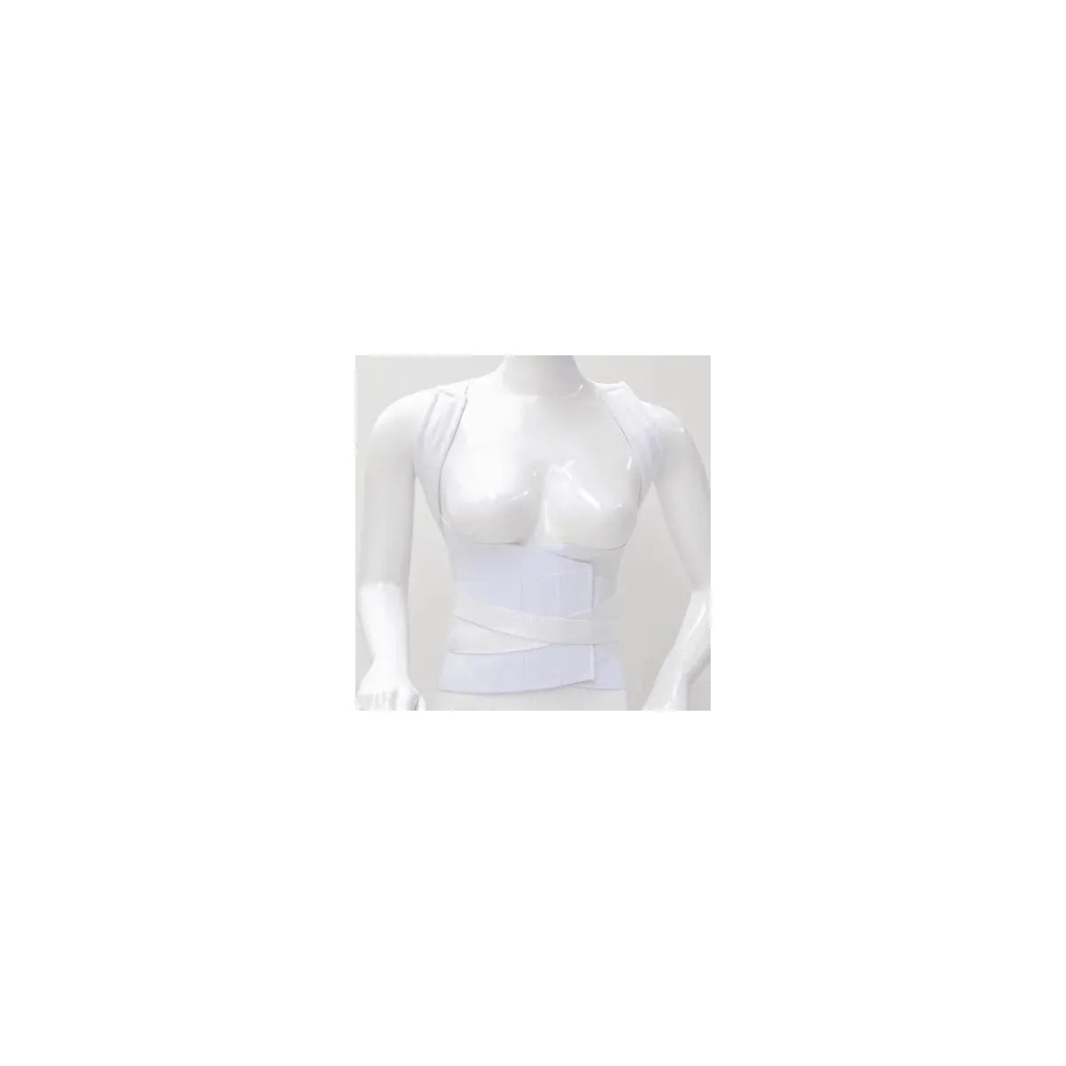 Faja dorso lumbar de la marca [Marca], modelo [Referencia], fabricada en algodón suave y resistente, con soporte abdominal y elásticos de doble cierre. Diseño anatómico para limitar movimientos de la columna lumbar.