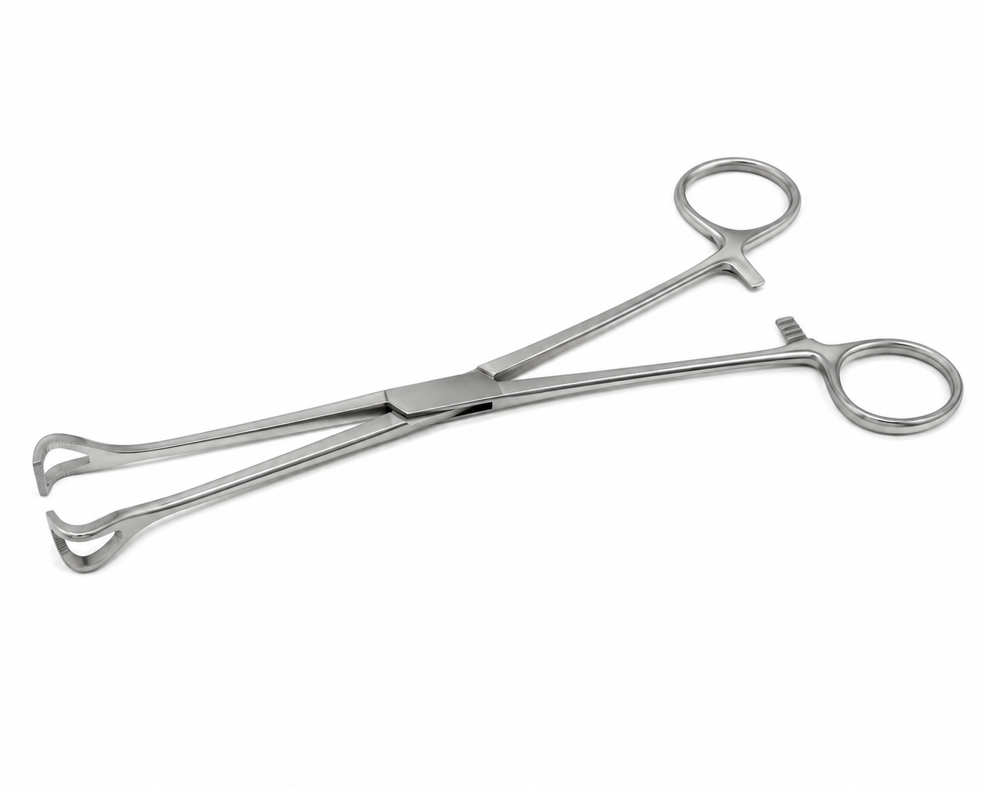 Pinza Babcock Recta Estriada 24 cm Tontarra