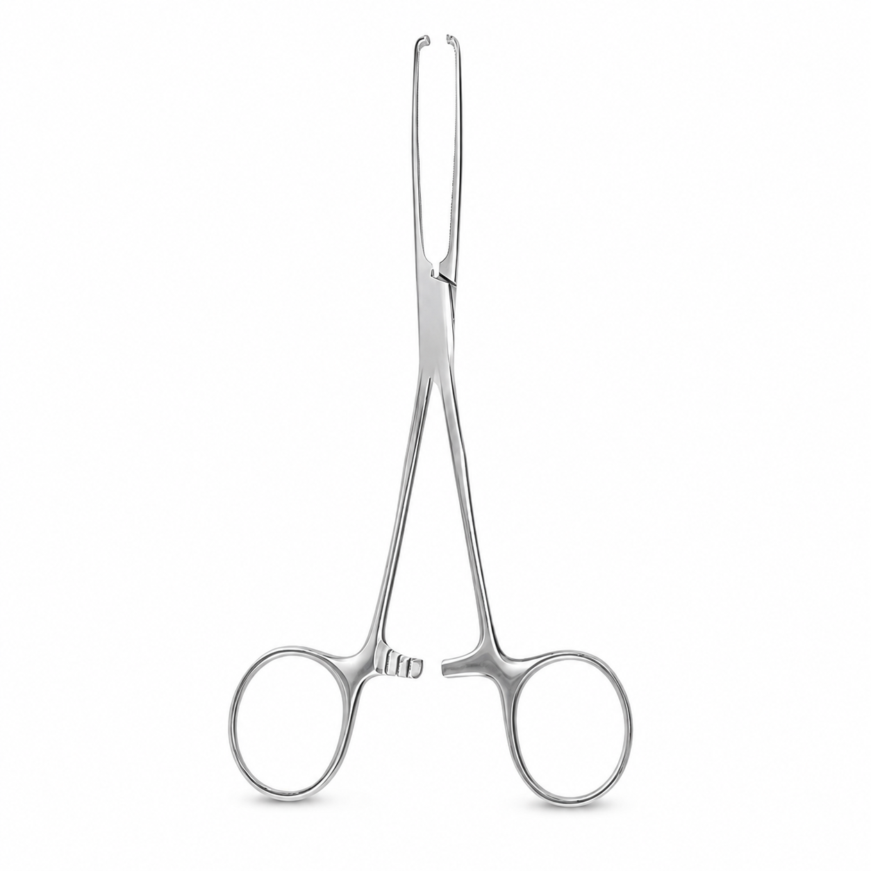 Pinza Intestinal Allys 5x6 Dientes 19 cm Dimeda CAT 64.120.19